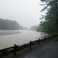 a0800_000741